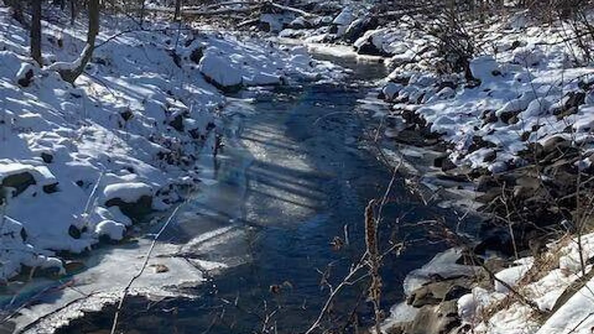 Property at 523 Mitchell Hollow Rd, Windham, NY 12496 53