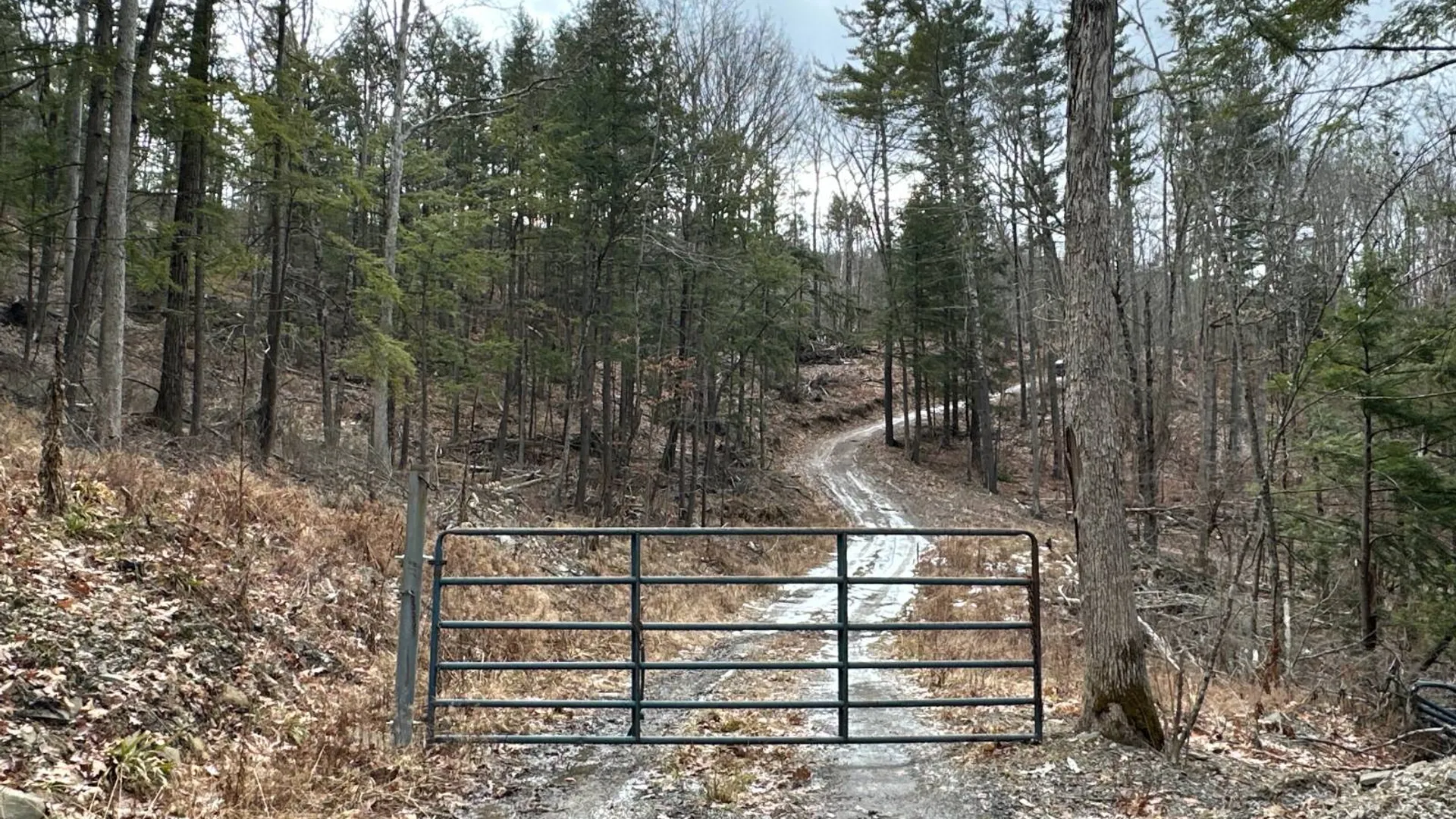 Property at 00WP Cotton Hill Rd, Middleburgh, NY 12122 11