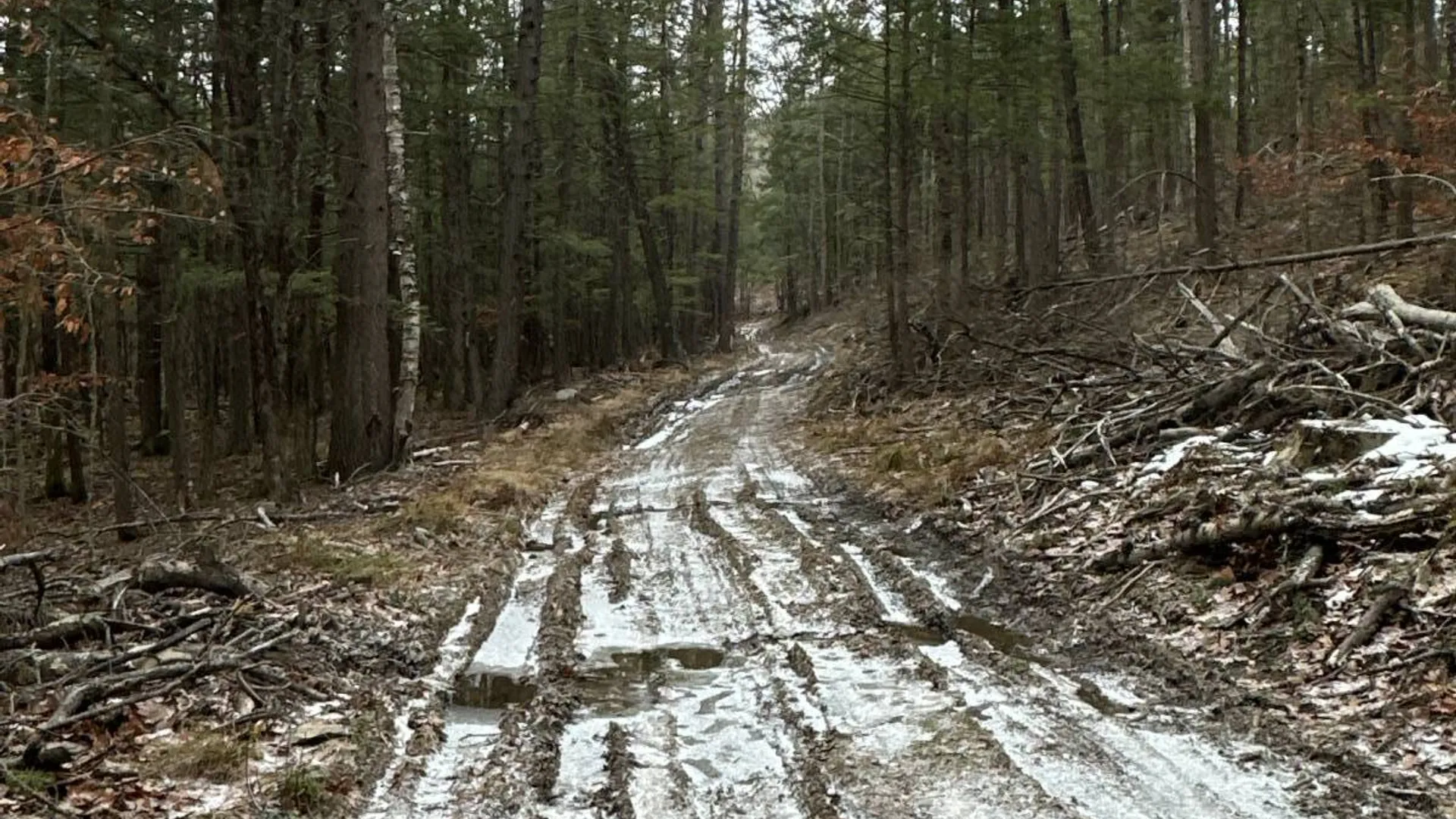 Property at 00WP Cotton Hill Rd, Middleburgh, NY 12122 12