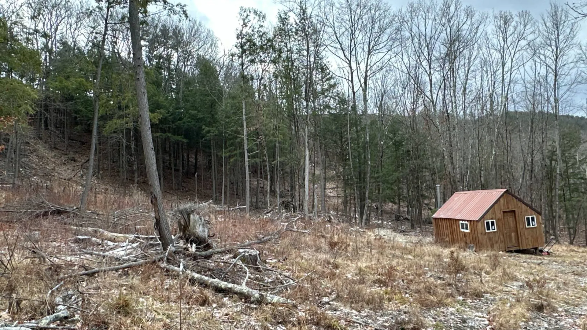 Property at 00WP Cotton Hill Rd, Middleburgh, NY 12122 13