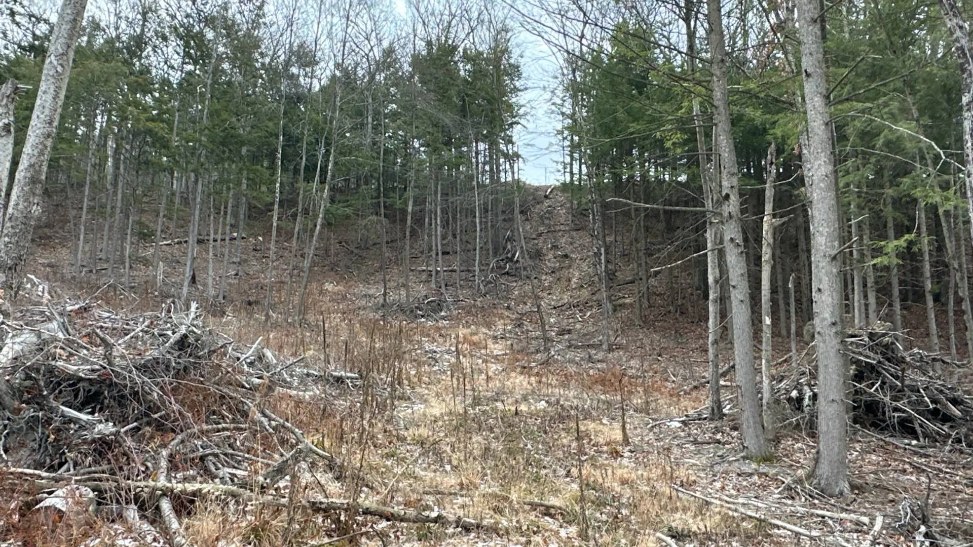 Property at 00WP Cotton Hill Rd, Middleburgh, NY 12122 19