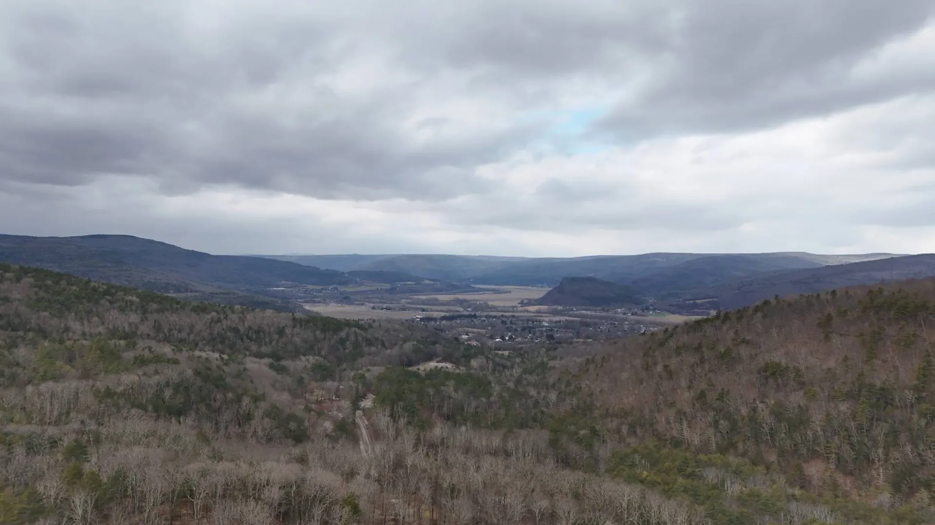 Property at 00WP Cotton Hill Rd, Middleburgh, NY 12122 2