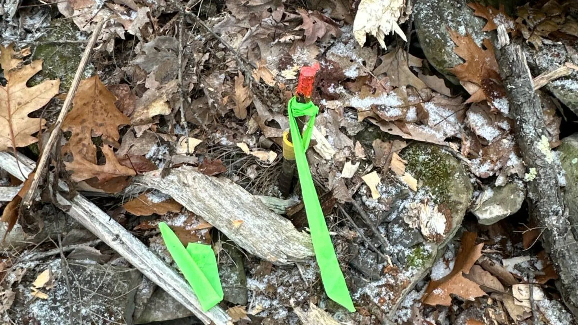 Property at 00WP Cotton Hill Rd, Middleburgh, NY 12122 24