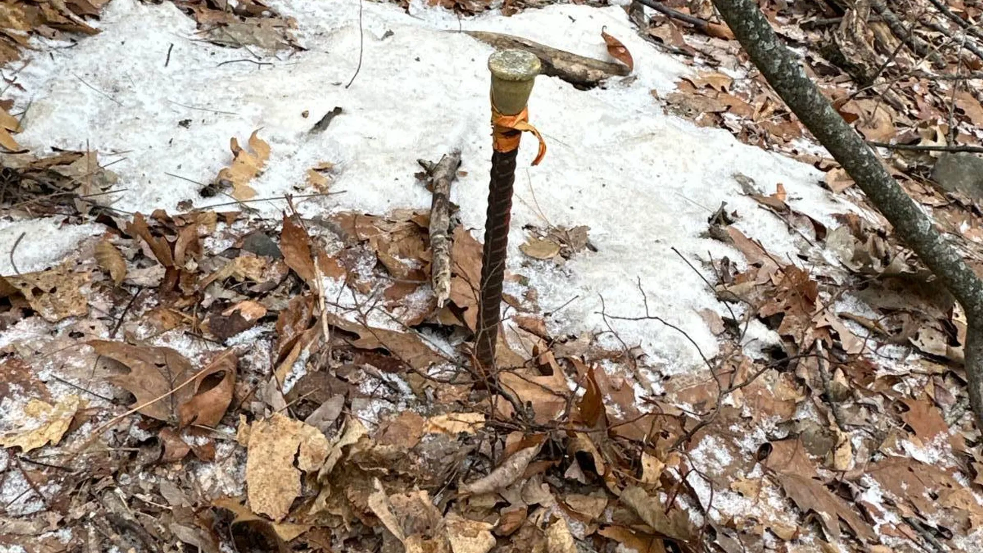 Property at 00WP Cotton Hill Rd, Middleburgh, NY 12122 25