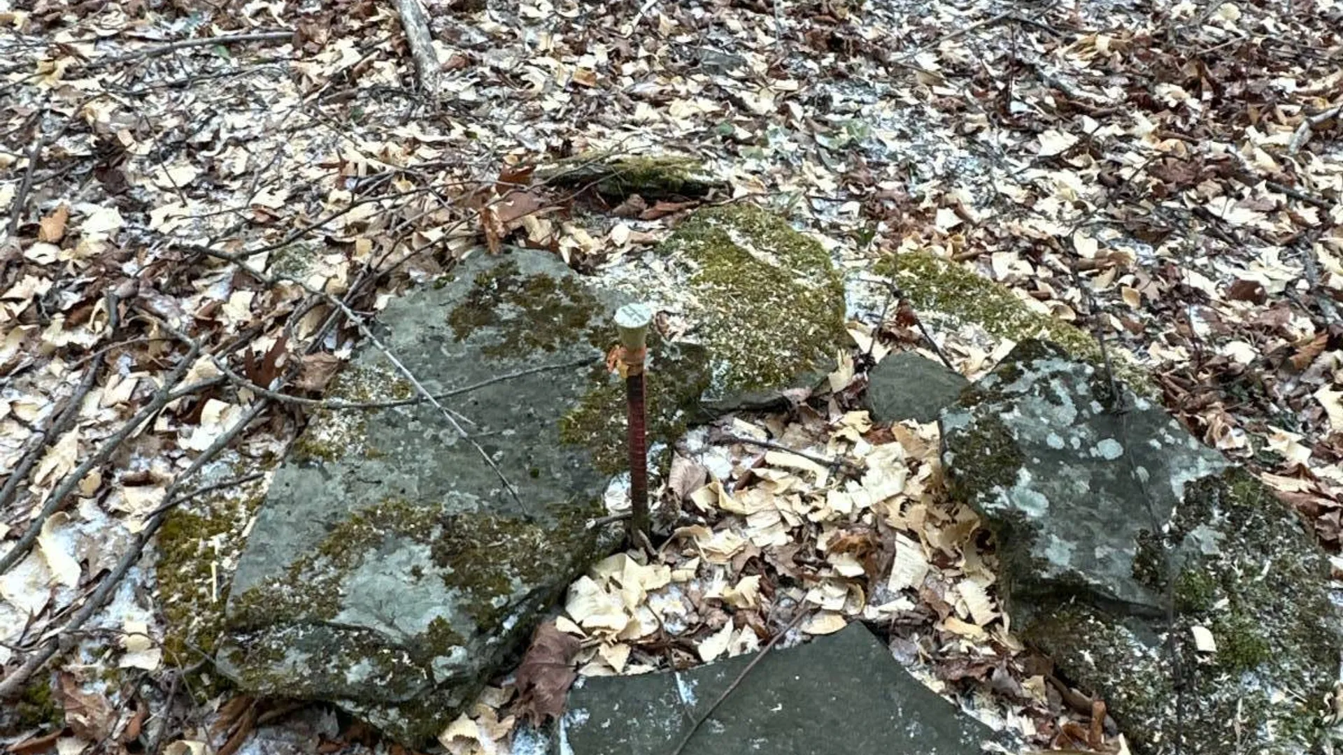 Property at 00WP Cotton Hill Rd, Middleburgh, NY 12122 26