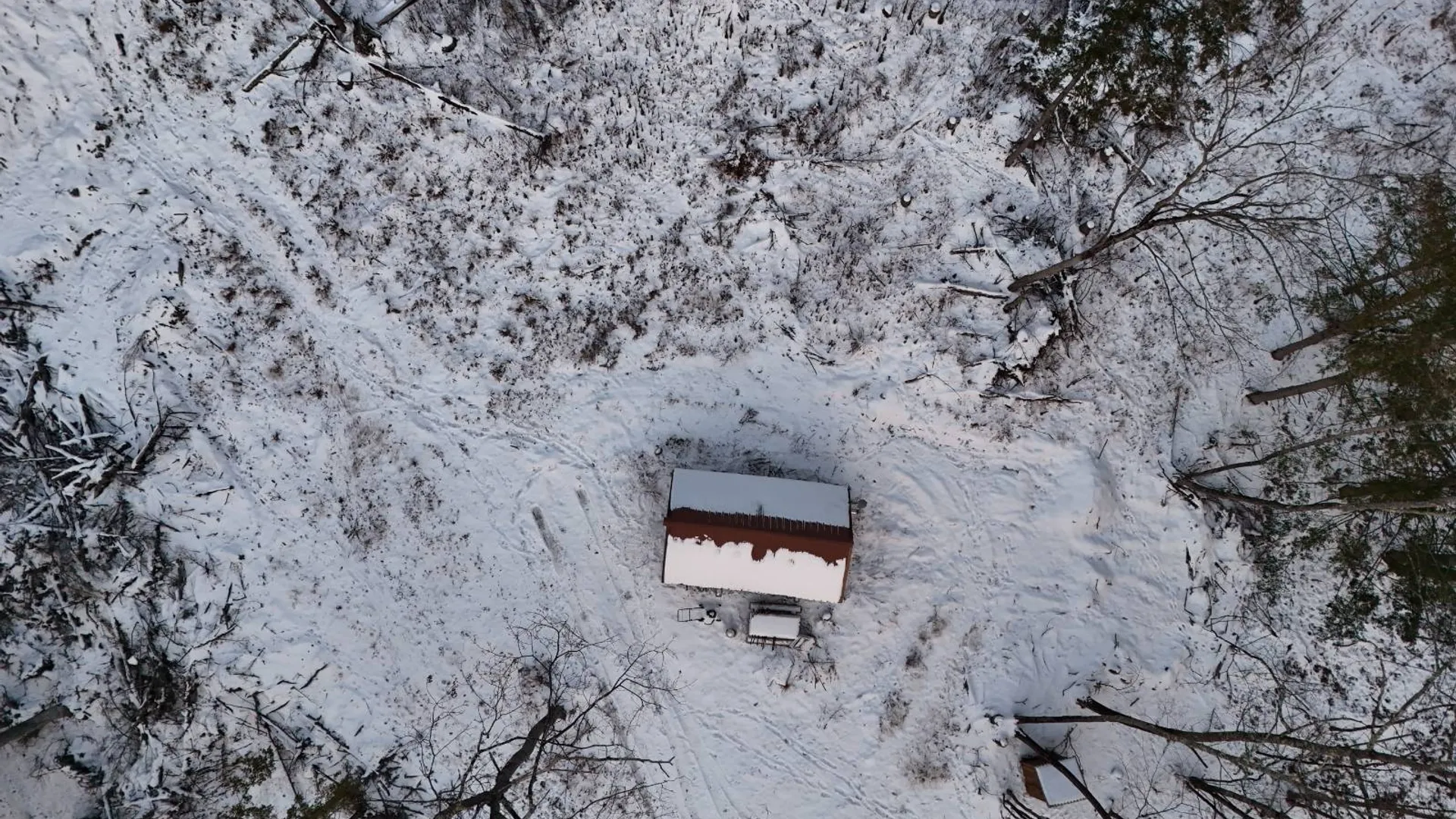 Property at 00WP Cotton Hill Rd, Middleburgh, NY 12122 3