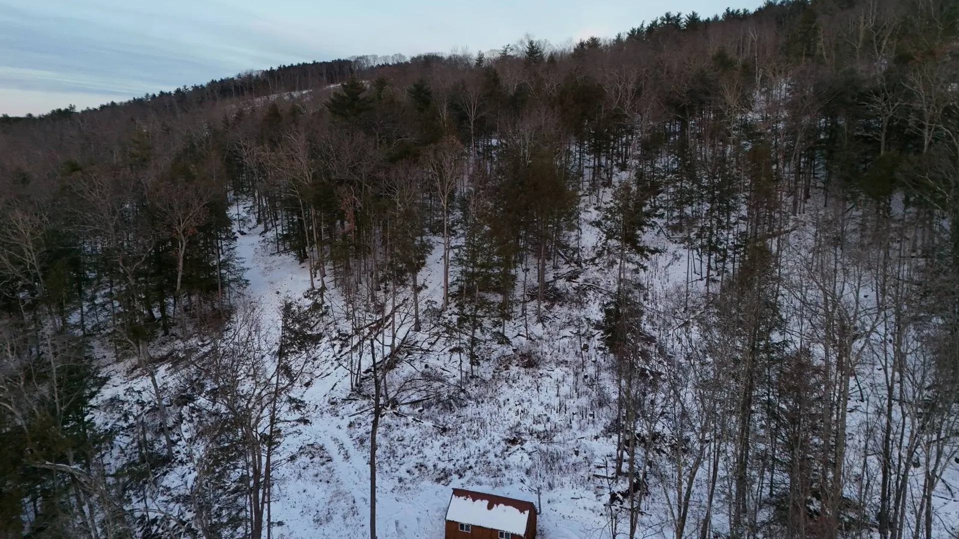 Property at 00WP Cotton Hill Rd, Middleburgh, NY 12122 5