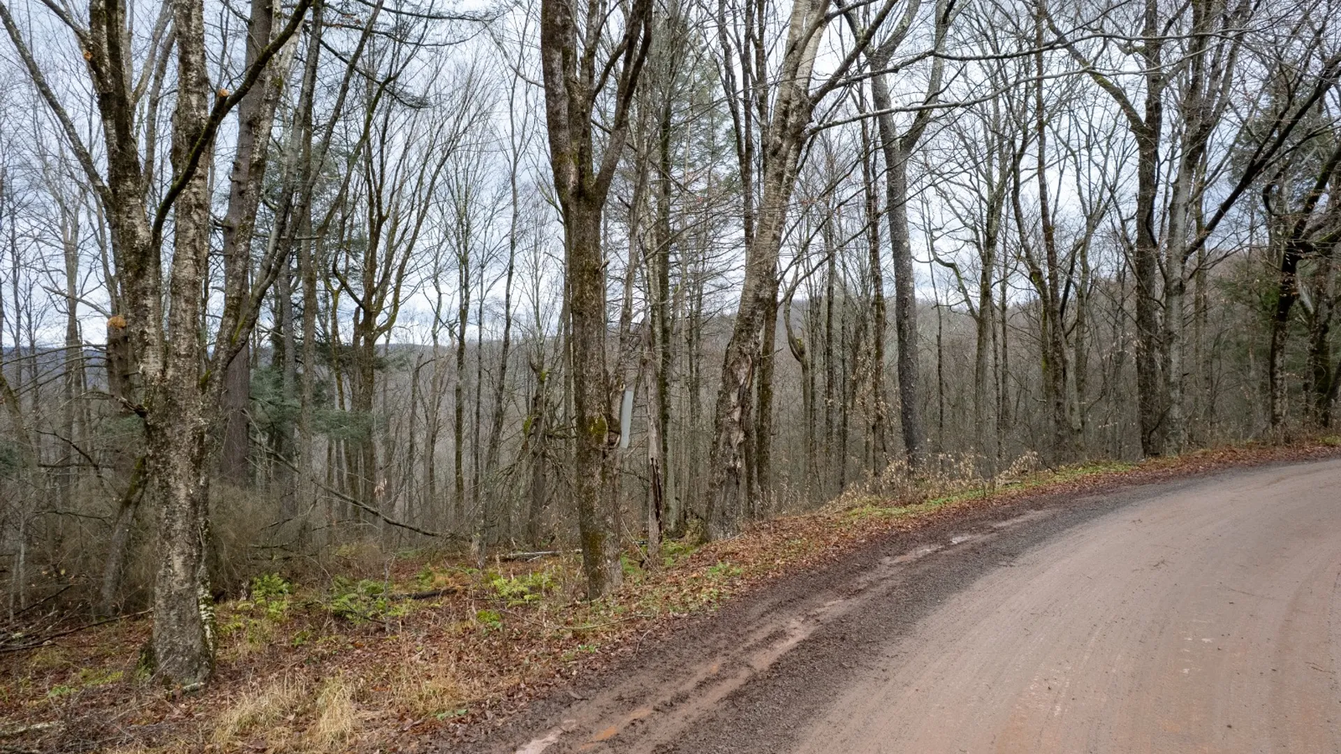 Property at 0 Hardwood Lane, Hancock, NY 13783 11