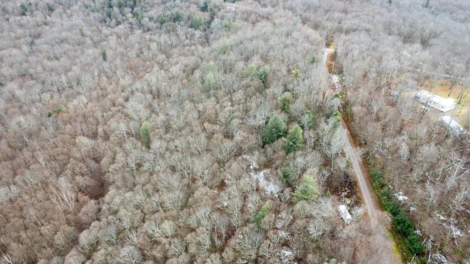 Property at 0 Hardwood Lane, Hancock, NY 13783 14