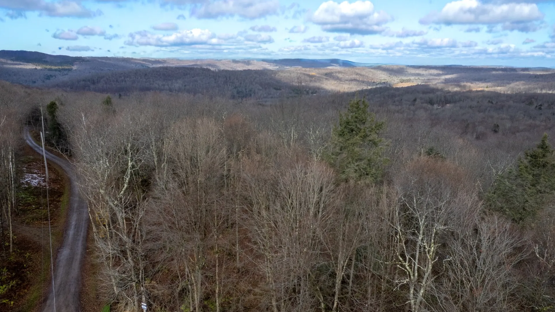 Property at 0 Hardwood Lane, Hancock, NY 13783 15