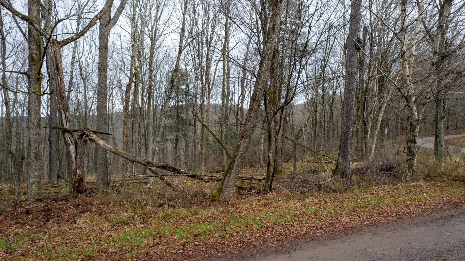 Property at 0 Hardwood Lane, Hancock, NY 13783 7