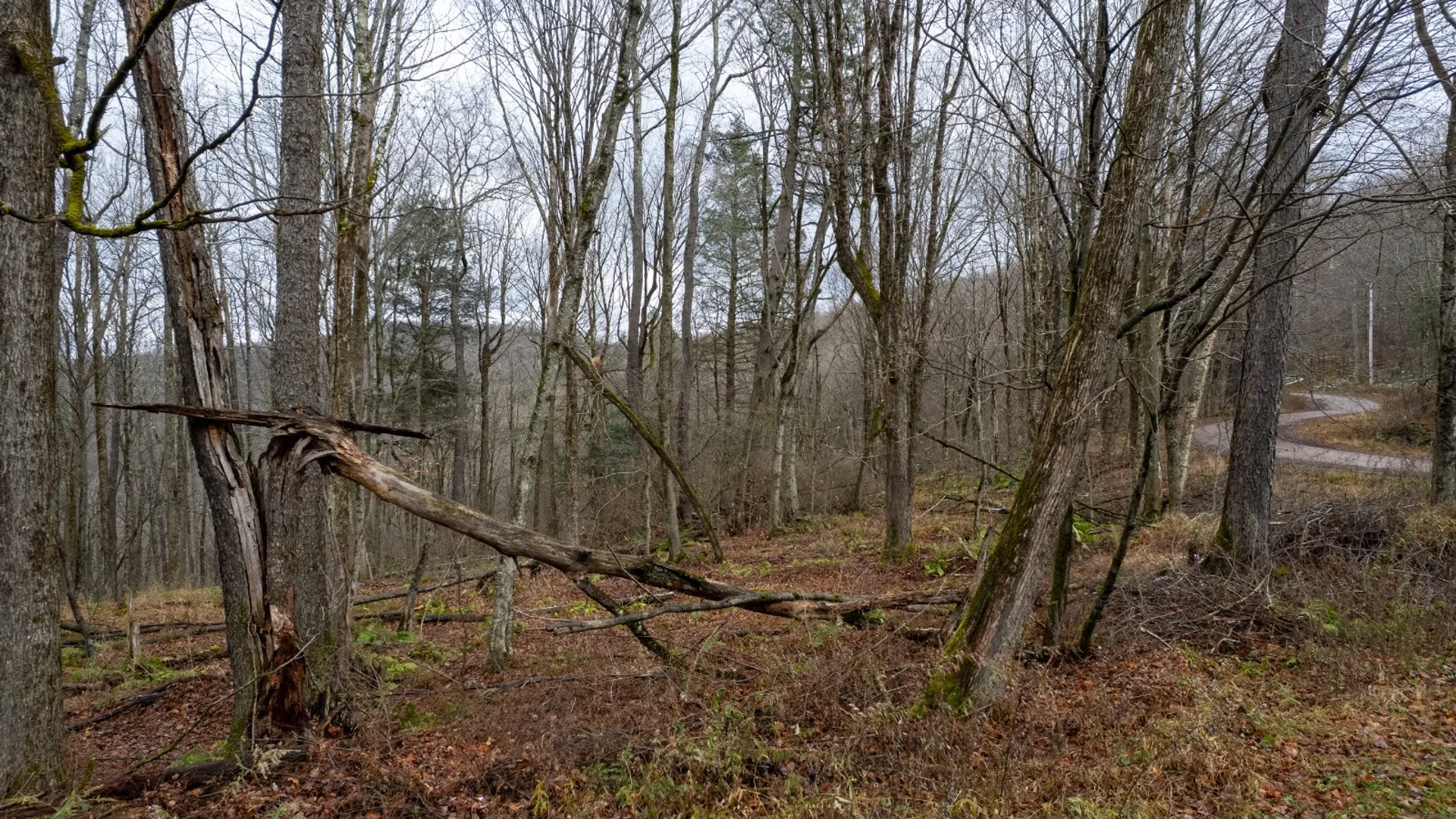 Property at 0 Hardwood Lane, Hancock, NY 13783 8