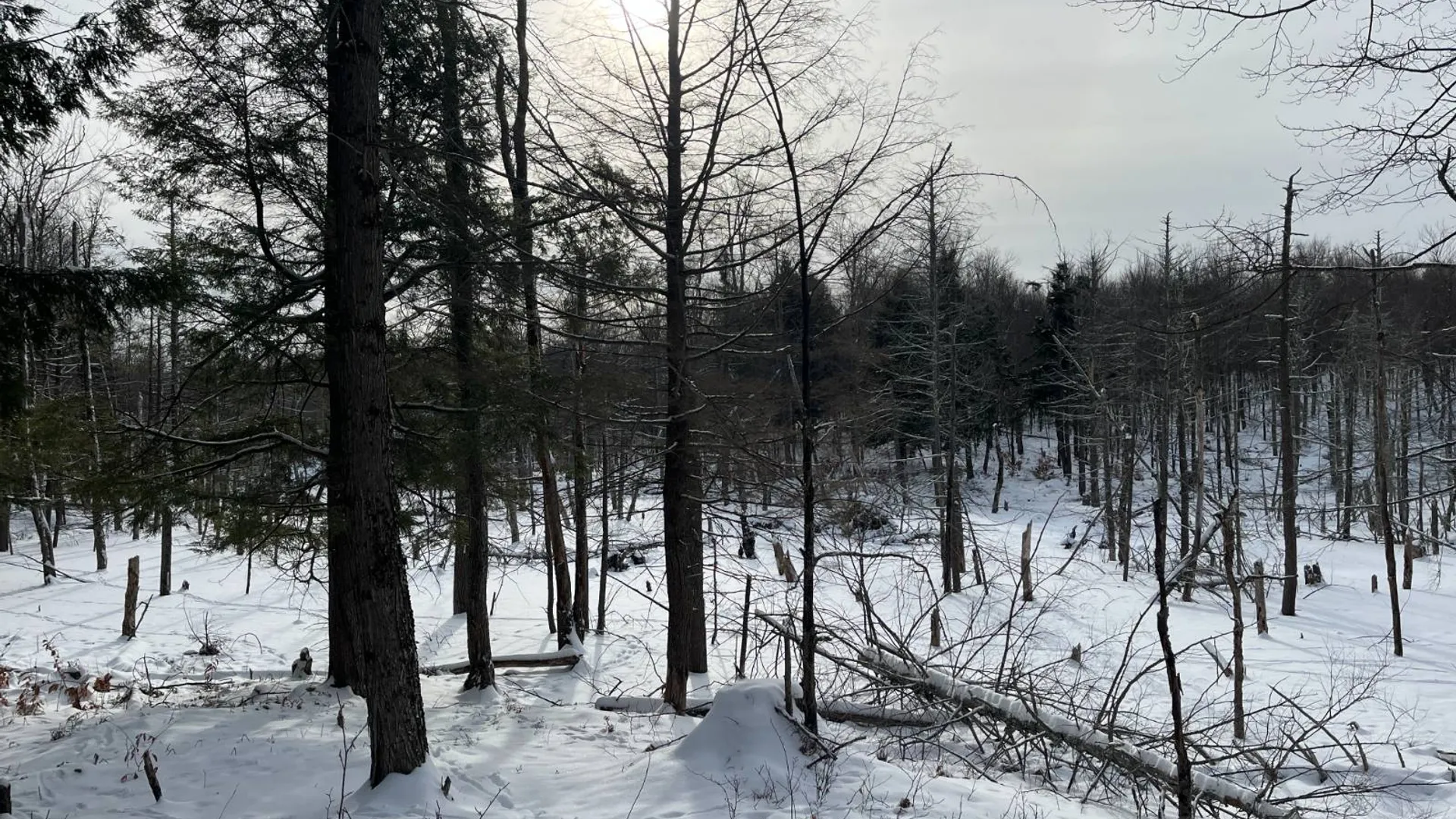 Property at 410 Boyd Pond Rd, Russell, NY 13684 28