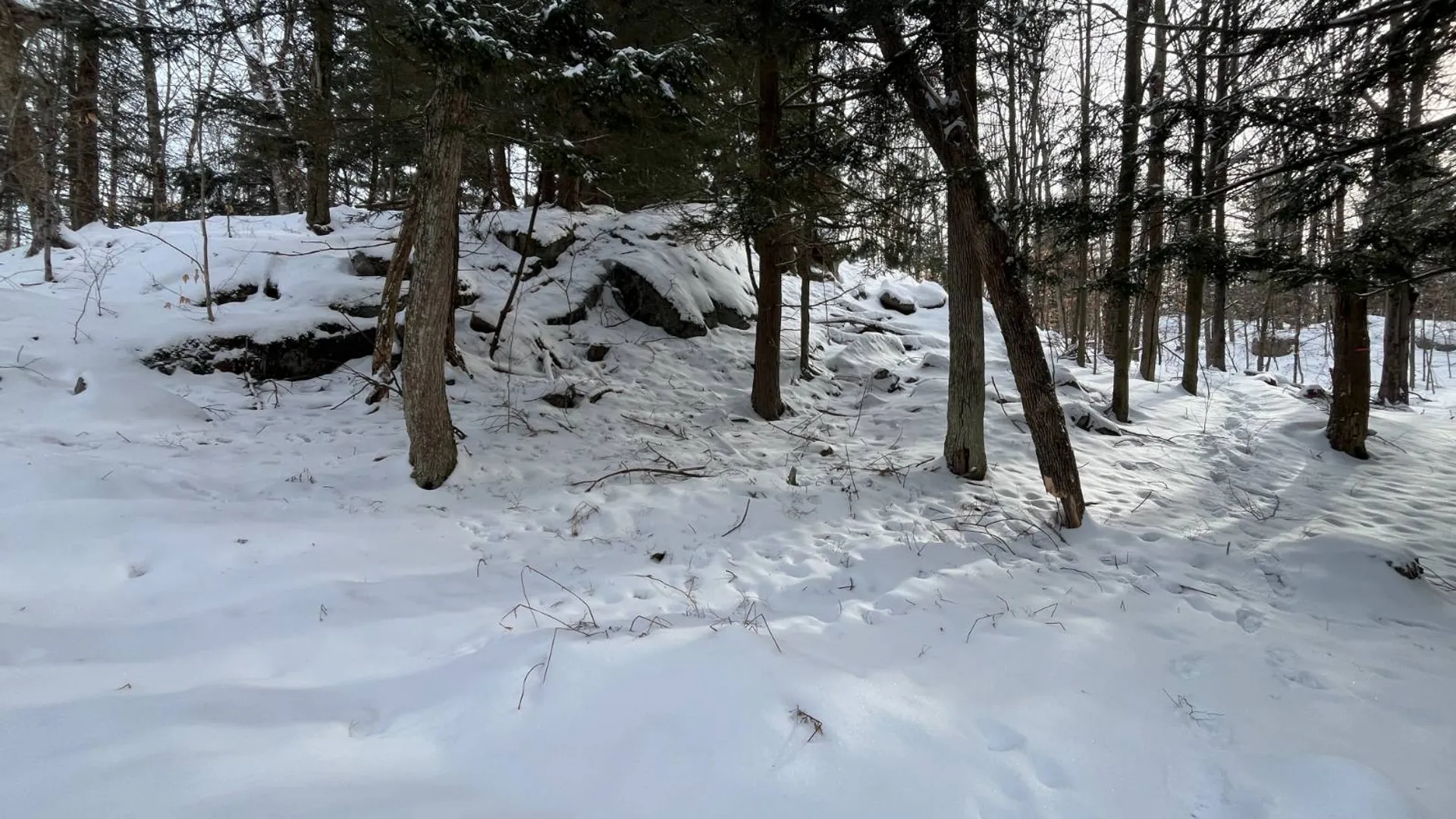 Property at 410 Boyd Pond Rd, Russell, NY 13684 30