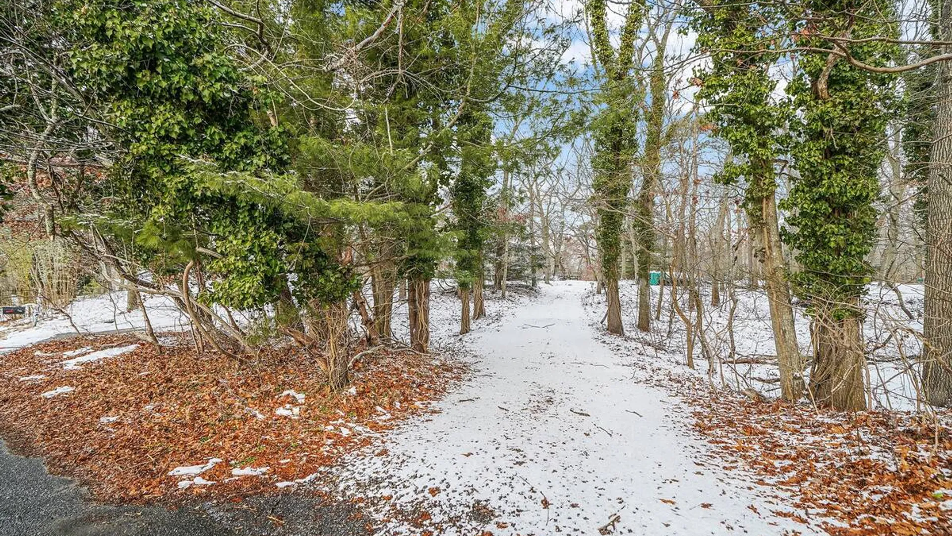 Property at 15 Beatrice Drive, Shirley, NY 11967 3