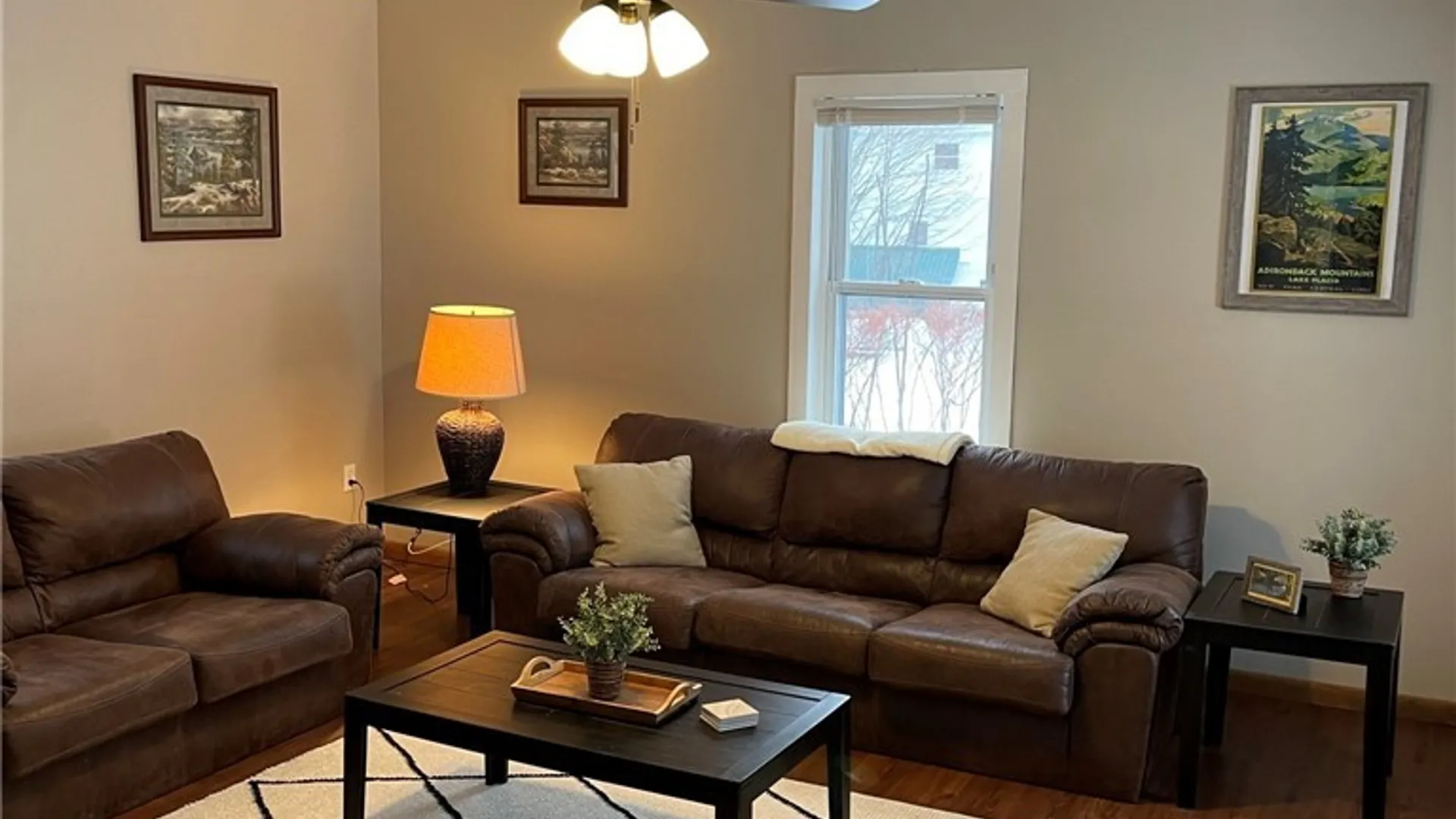 Property at 14191 State Street, Diana, NY 13648 2