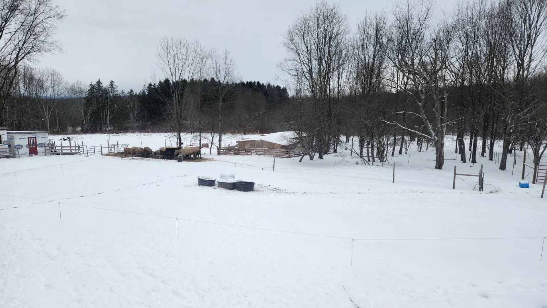 Property at 101-103 Seeley Lane, Norwich, NY 13815 3