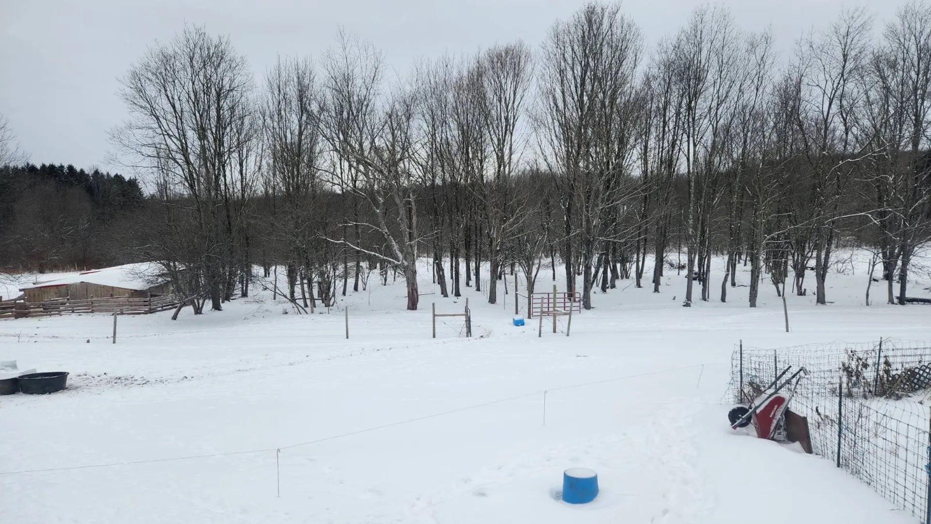 Property at 101-103 Seeley Lane, Norwich, NY 13815 4