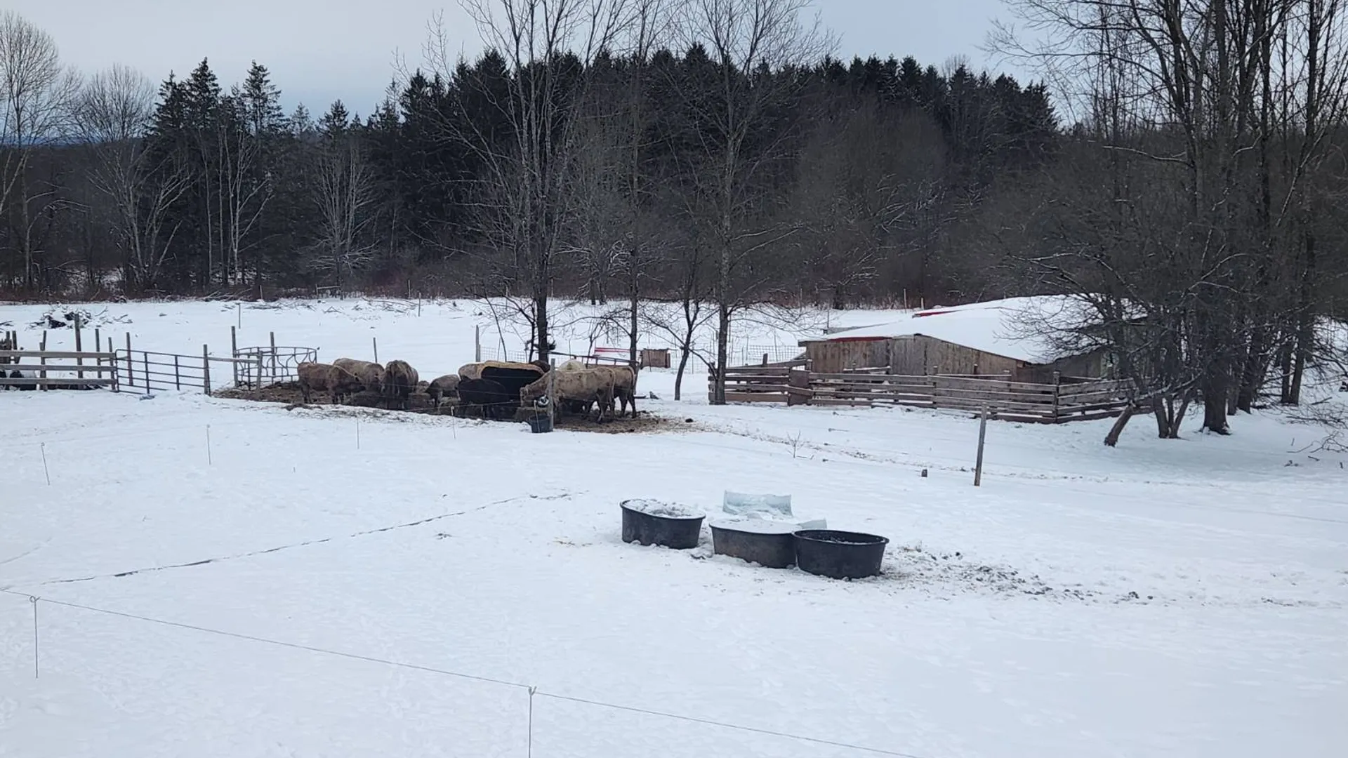 Property at 101-103 Seeley Lane, Norwich, NY 13815 5