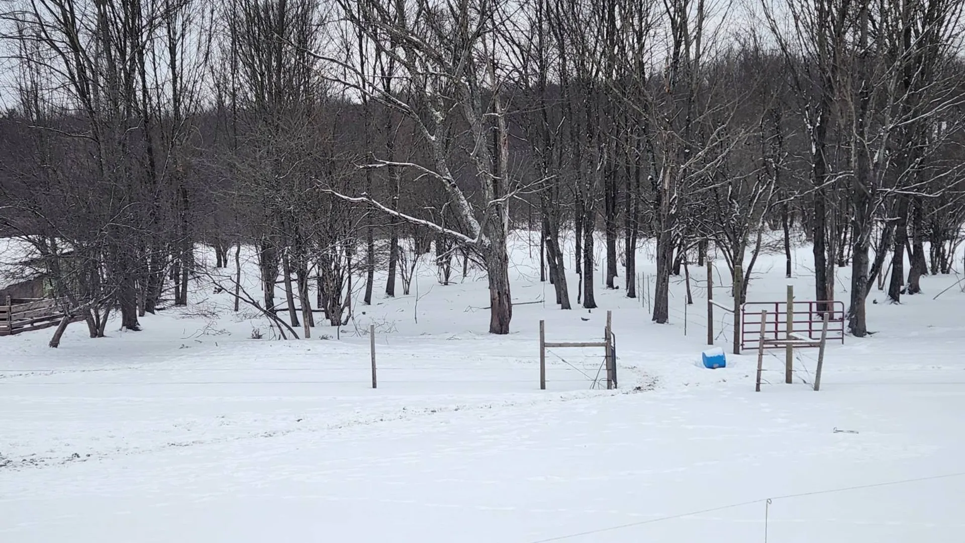 Property at 101-103 Seeley Lane, Norwich, NY 13815 6