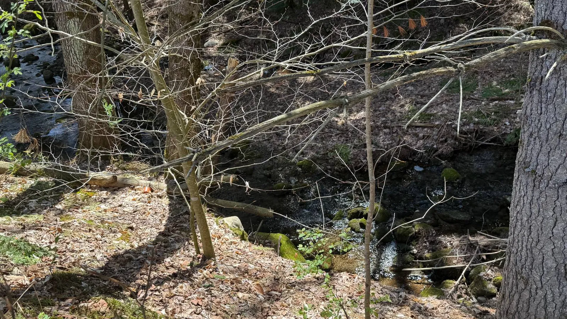 Property at 75 Winslow Rd, East Nassau, NY 12062 31