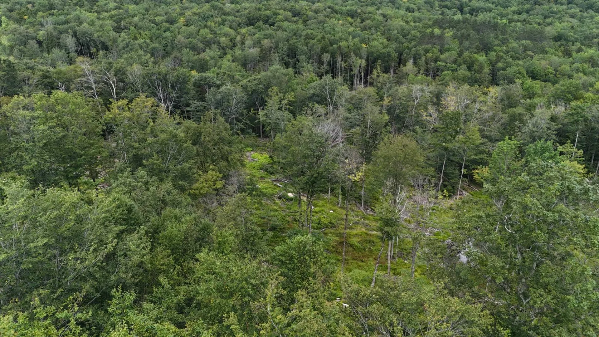 Property at 00 Switzer Rd, Salisbury Center, NY 13454 12