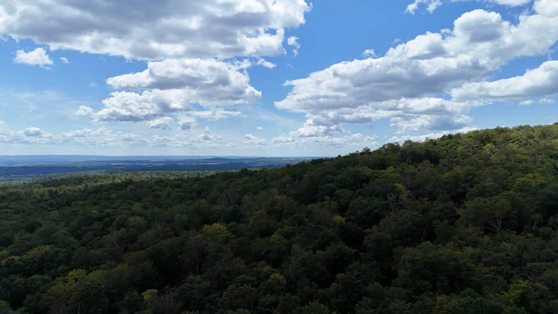 Property at 00 Switzer Rd, Salisbury Center, NY 13454 15
