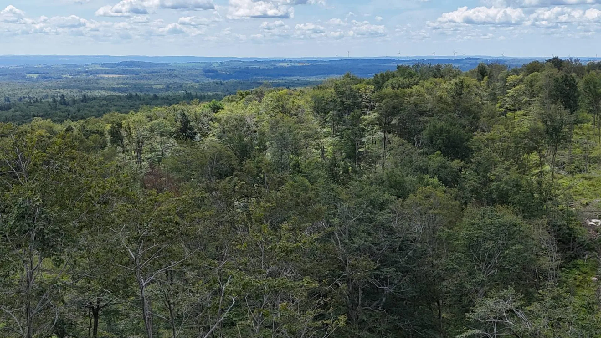 Property at 00 Switzer Rd, Salisbury Center, NY 13454 17