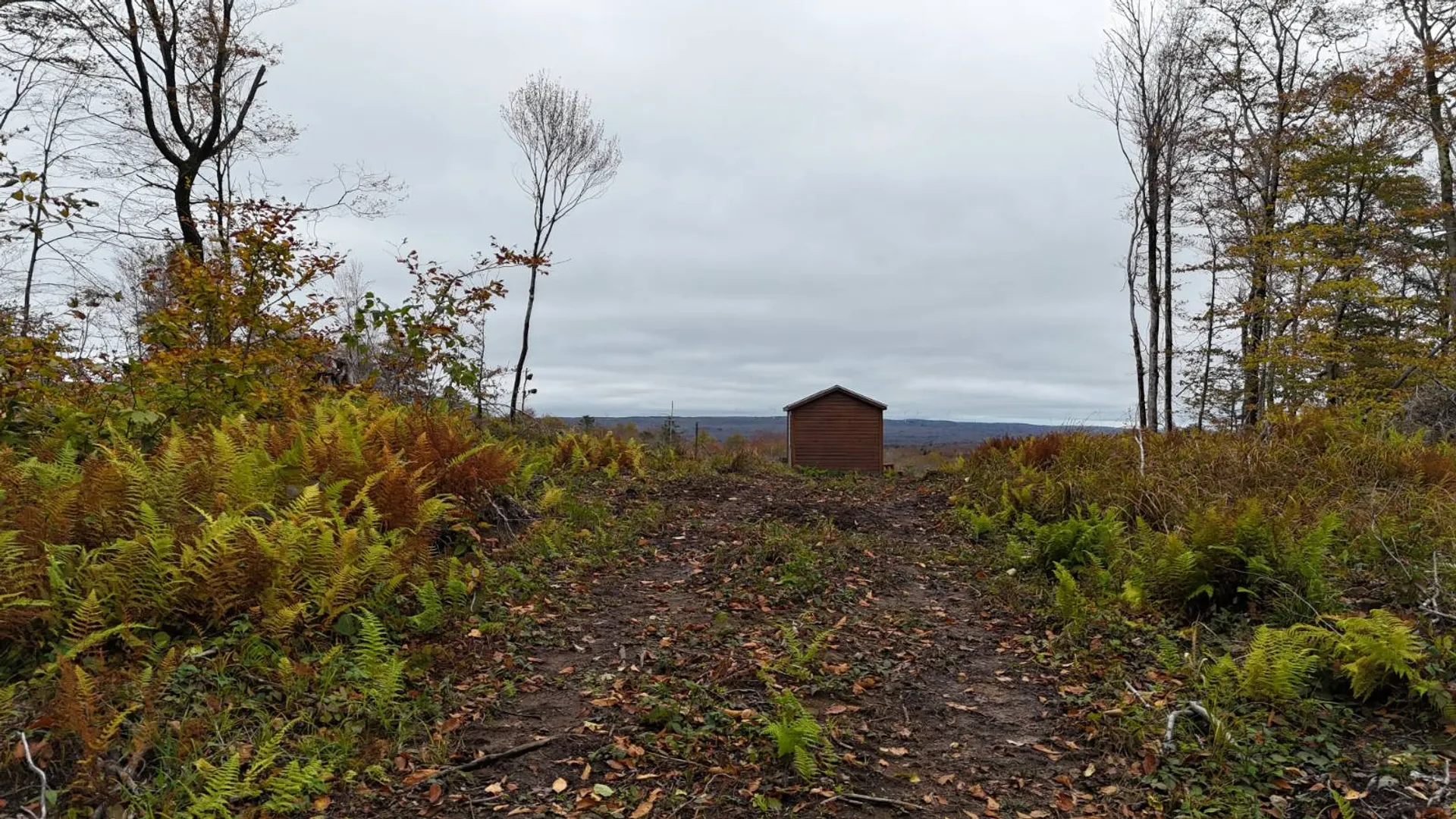Property at 00 Switzer Rd, Salisbury Center, NY 13454 21