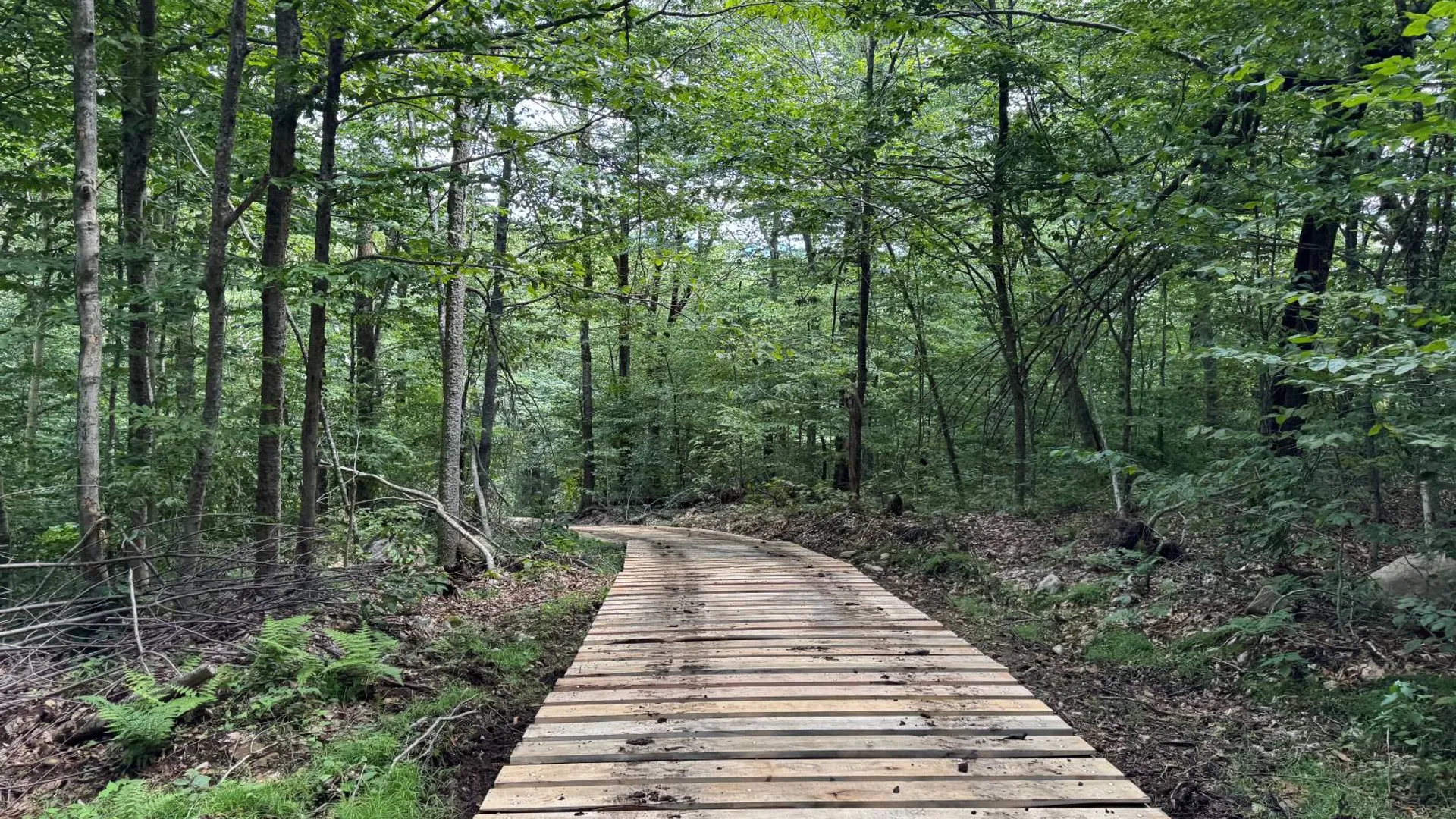Property at 00 Switzer Rd, Salisbury Center, NY 13454 22