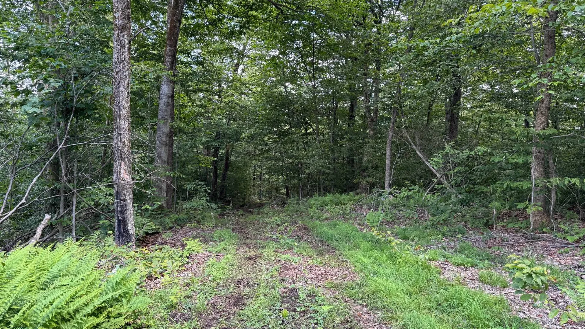 Property at 00 Switzer Rd, Salisbury Center, NY 13454 24