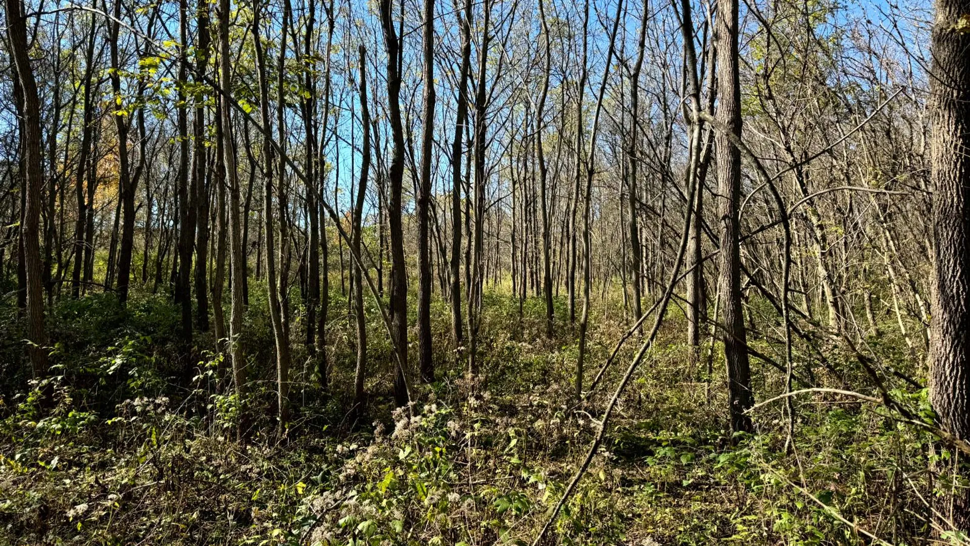 Property at 2A Creek Road, Nunda, NY 14517 2