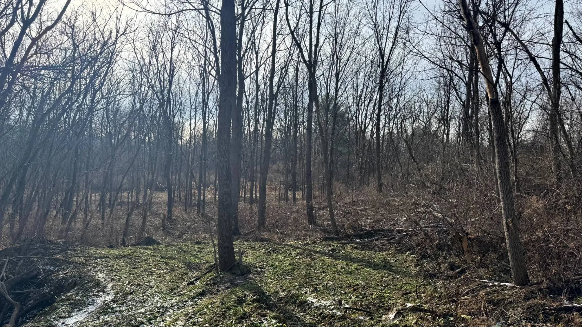 Property at 2A Creek Road, Nunda, NY 14517 4