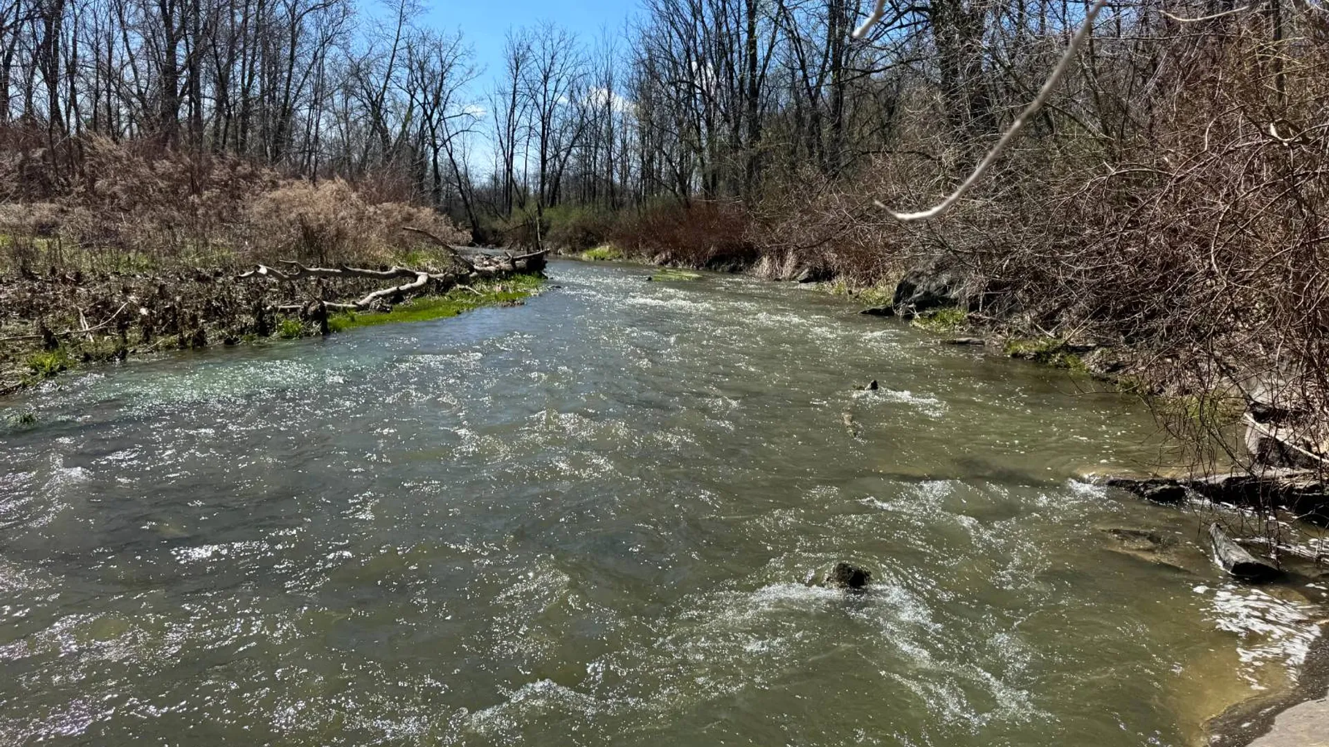 Property at 2A Creek Road, Nunda, NY 14517 5