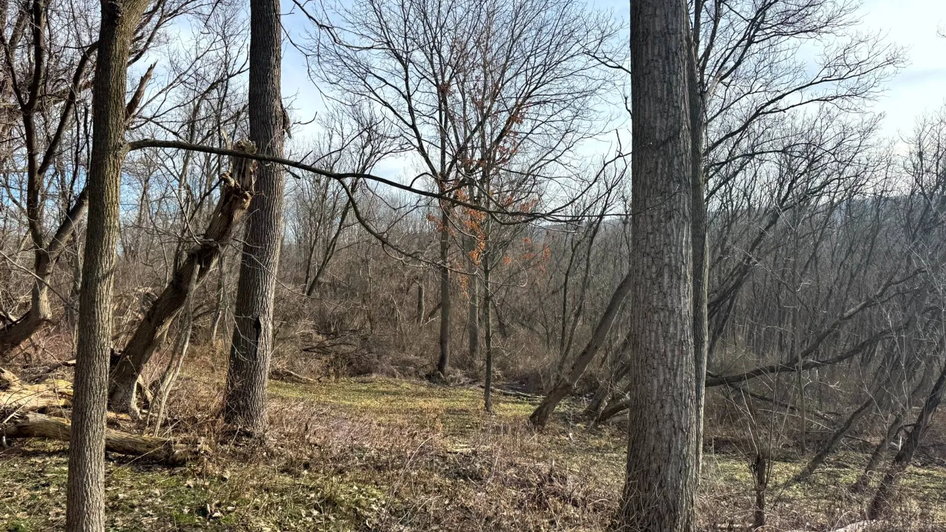 Property at 2A Creek Road, Nunda, NY 14517 6