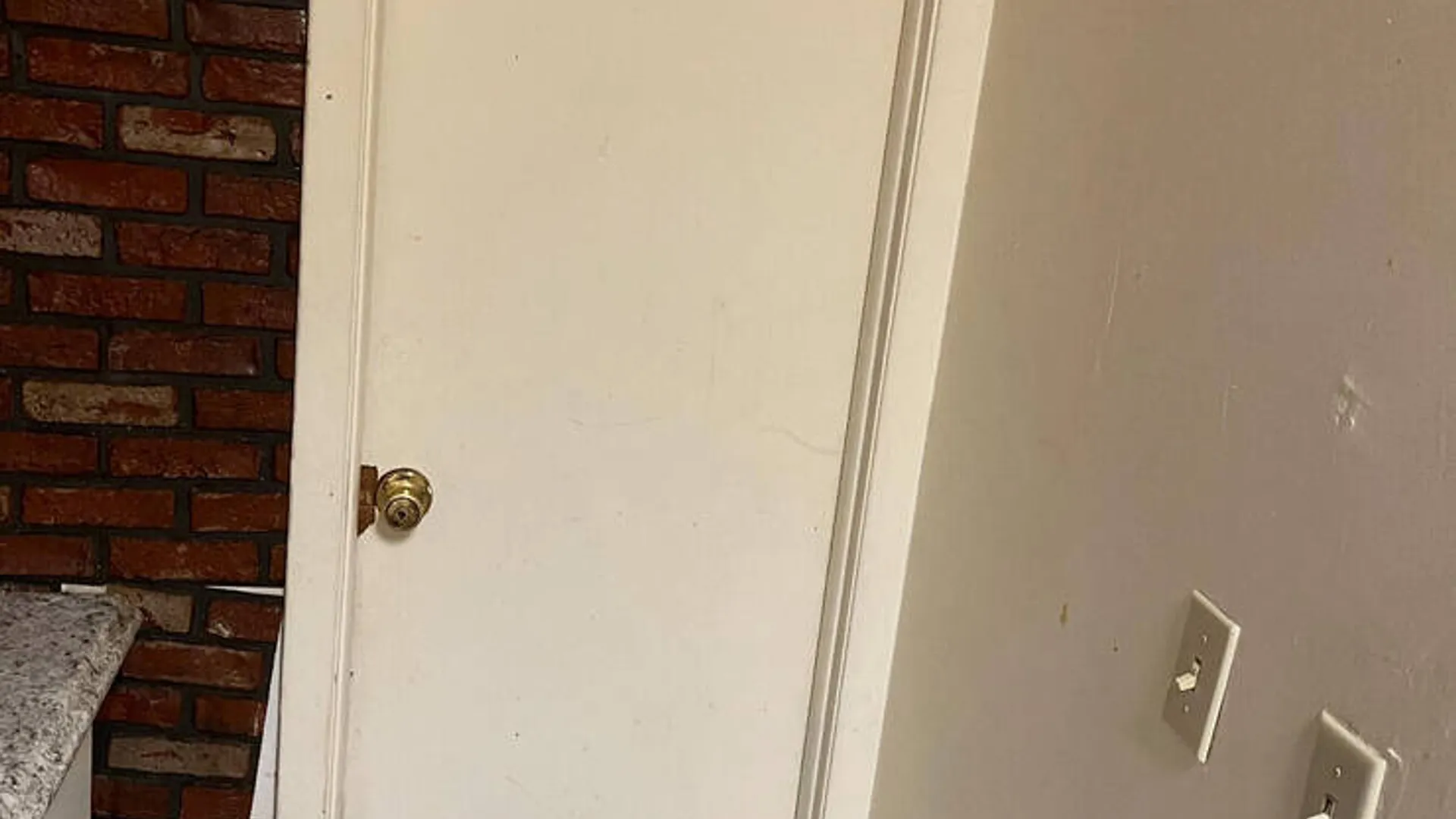Property at 335 Central Avenue, Albany, NY 12206 4