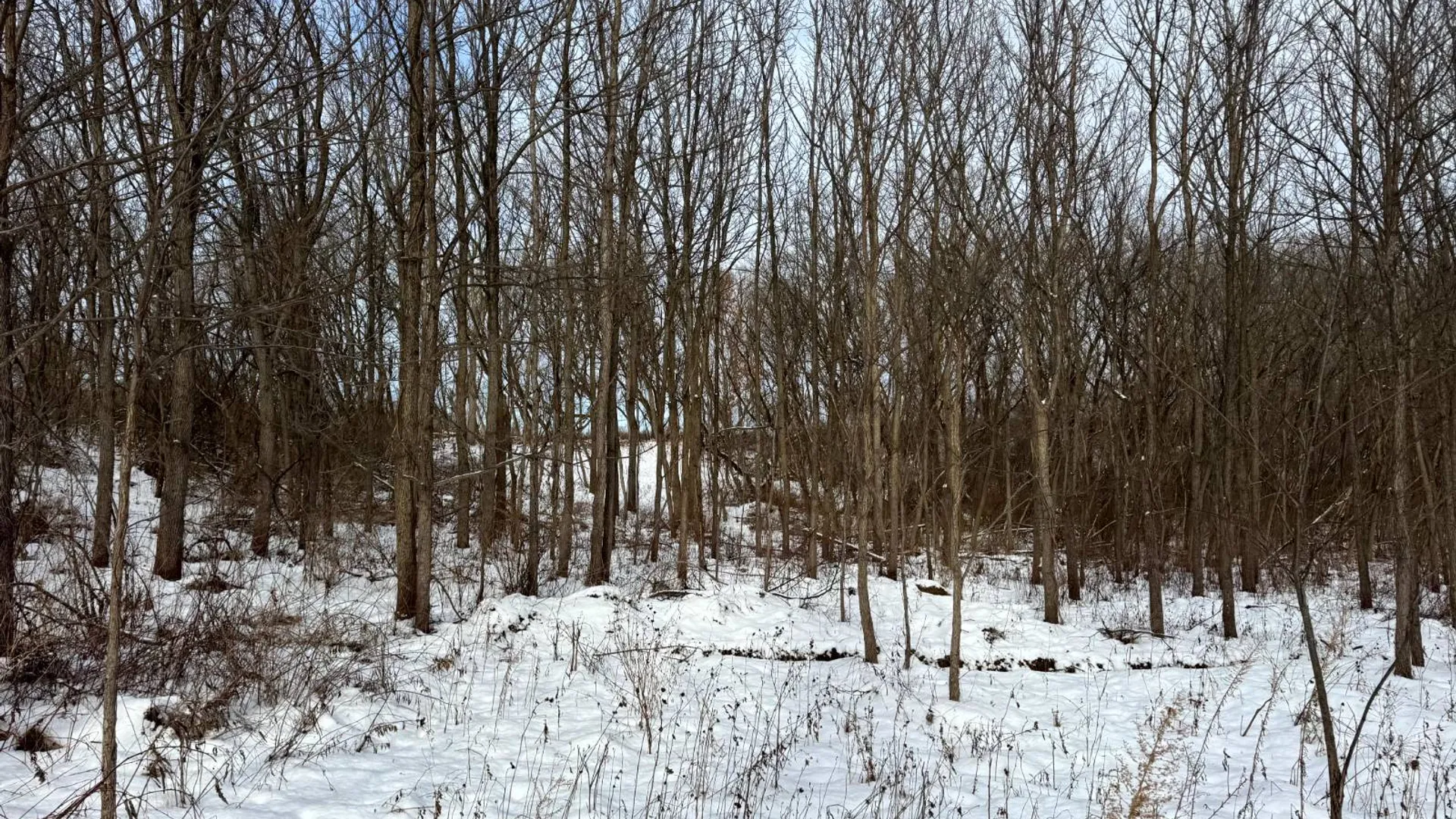 Property at 2B Creek Road, Nunda, NY 14517 5