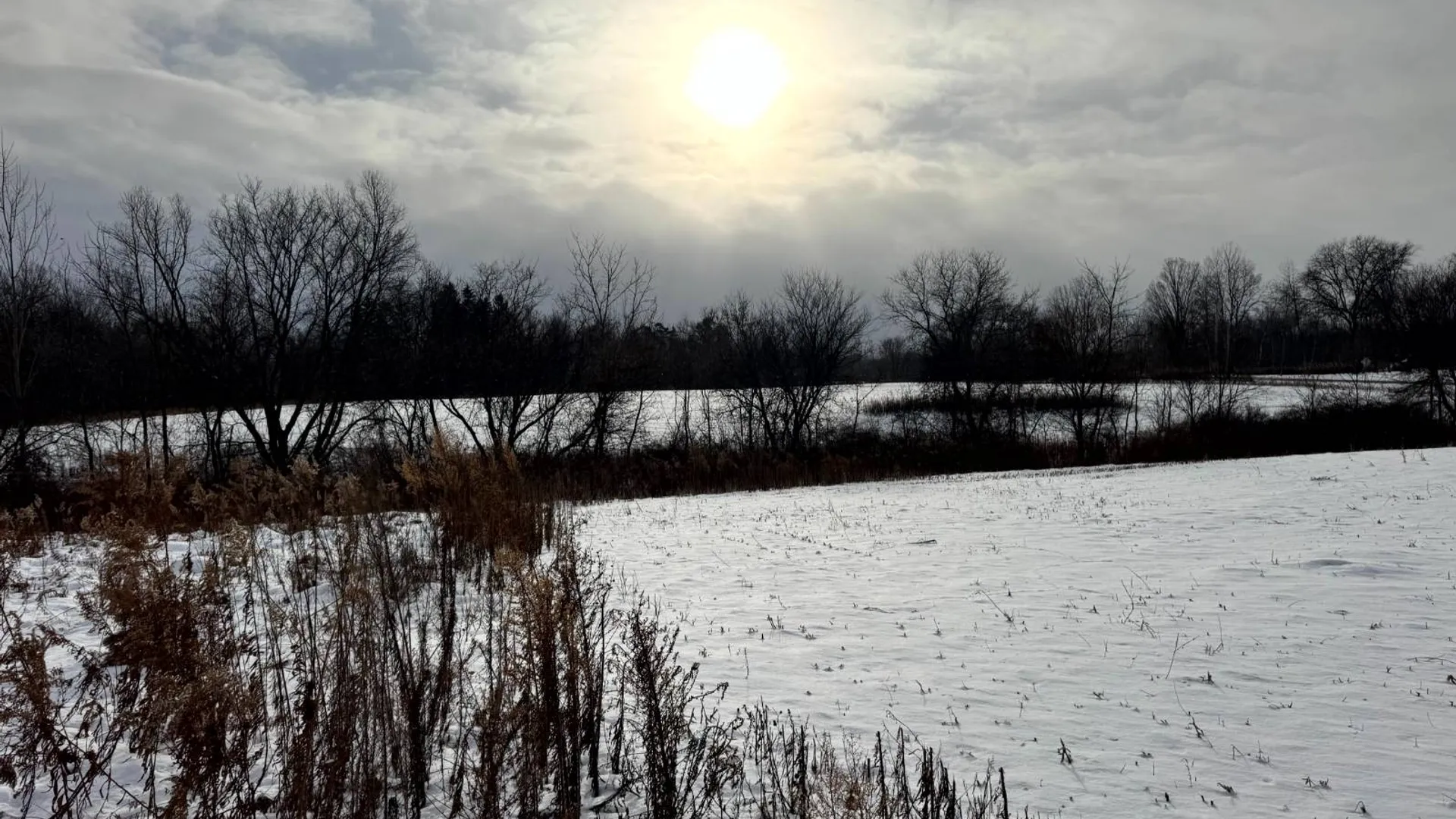 Property at 2B Creek Road, Nunda, NY 14517 6