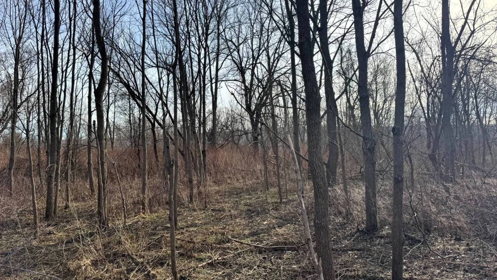 Property at 2B Creek Road, Nunda, NY 14517 7