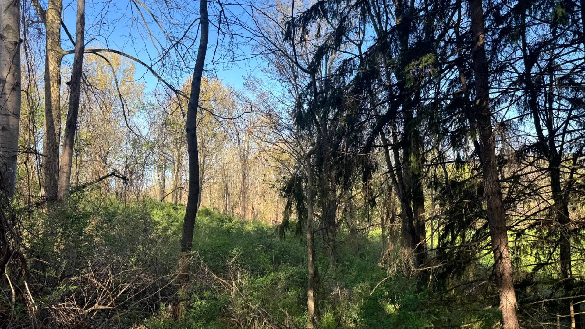 Property at 2C Creek Road, Nunda, NY 14517 12