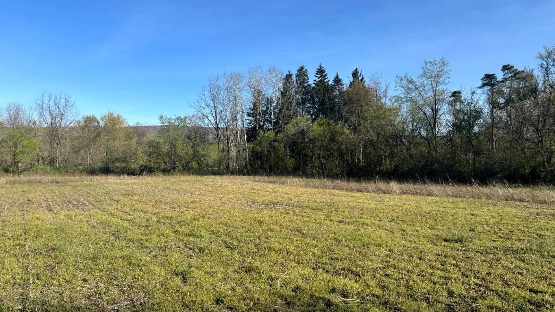 Property at 2C Creek Road, Nunda, NY 14517 14