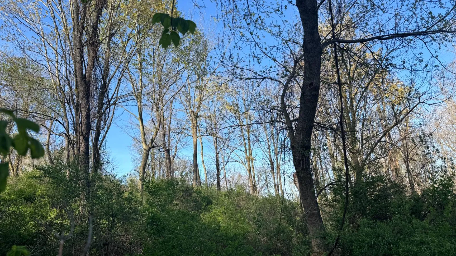 Property at 2C Creek Road, Nunda, NY 14517 15