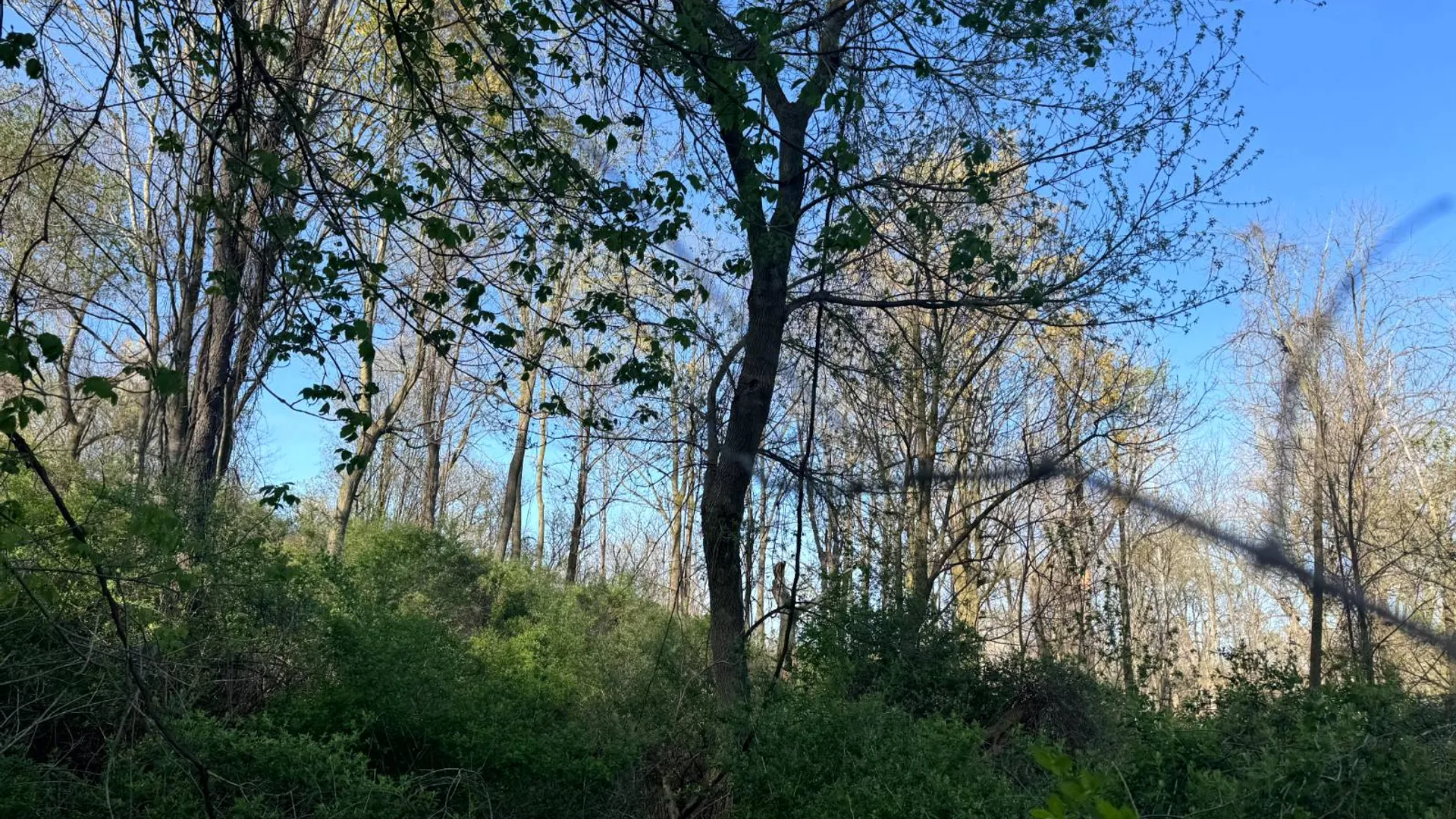 Property at 2C Creek Road, Nunda, NY 14517 18