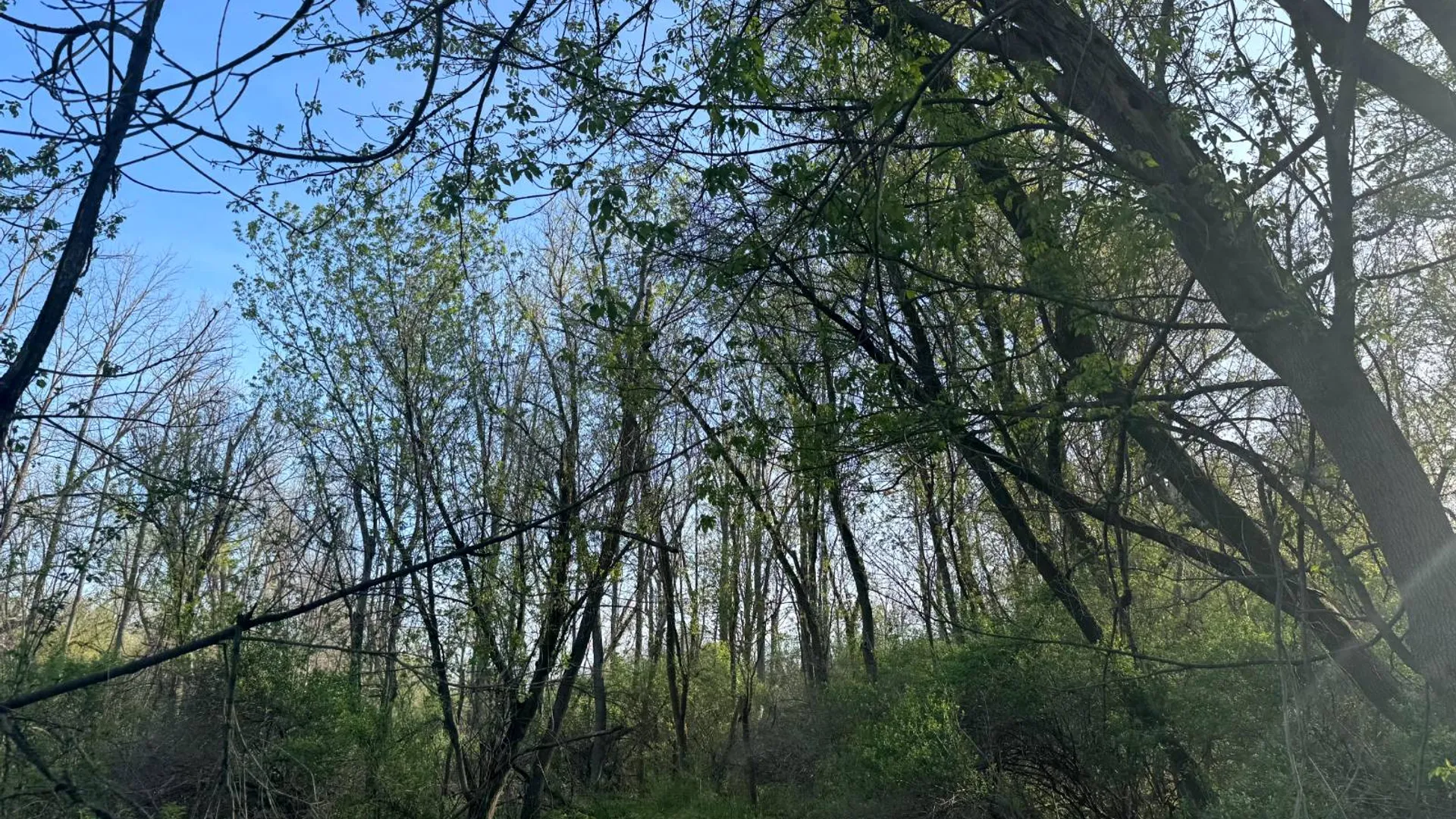 Property at 2C Creek Road, Nunda, NY 14517 20