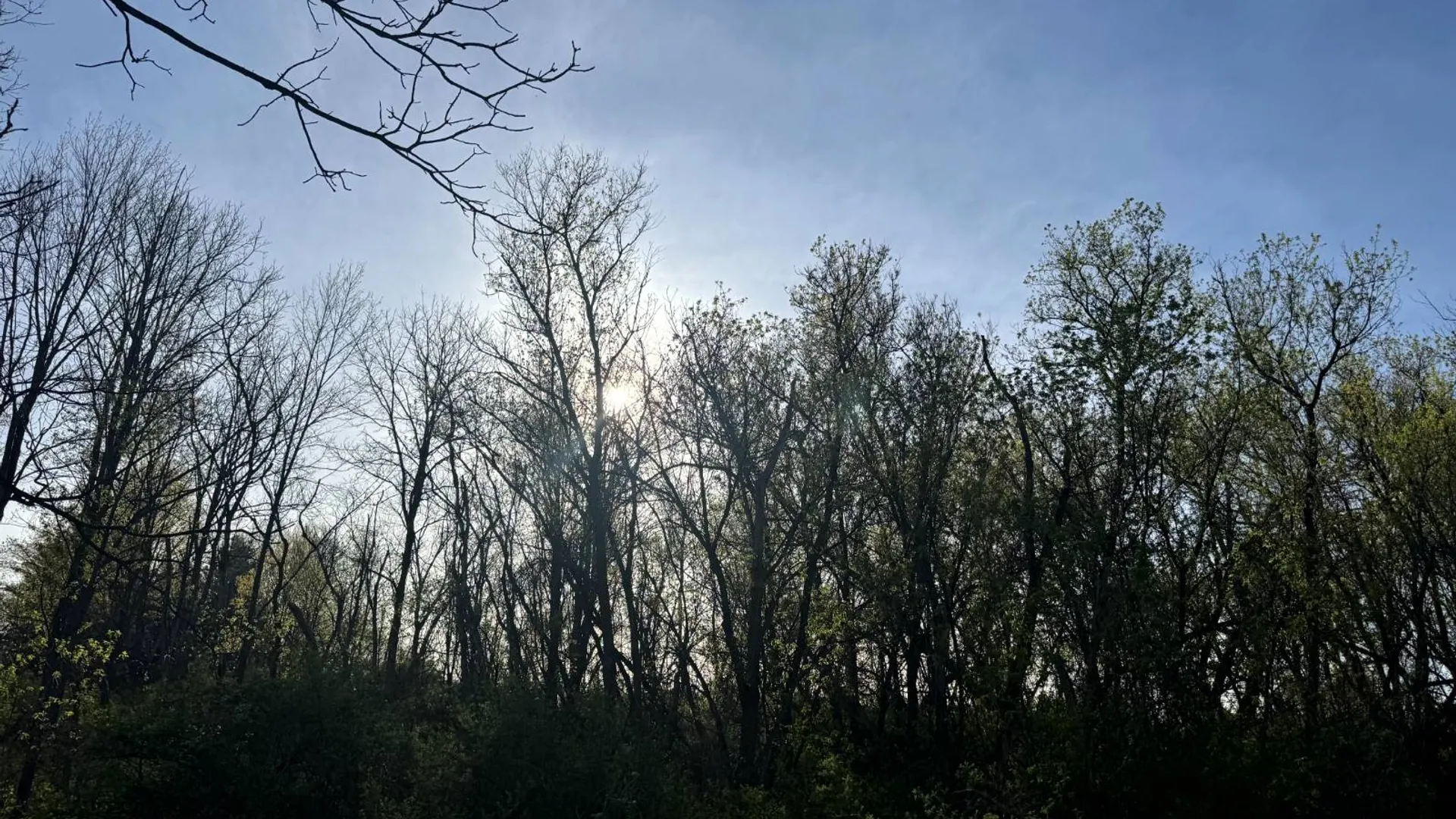 Property at 2C Creek Road, Nunda, NY 14517 21