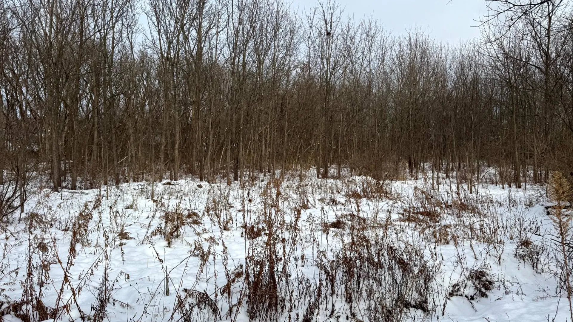 Property at 2C Creek Road, Nunda, NY 14517 3