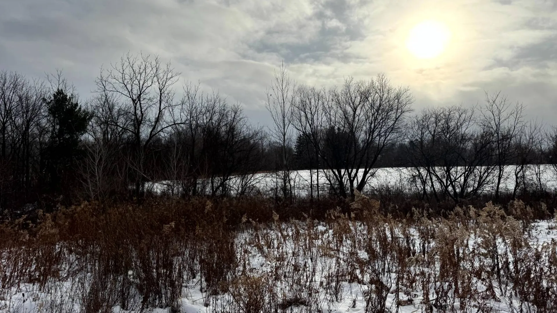 Property at 2C Creek Road, Nunda, NY 14517 4