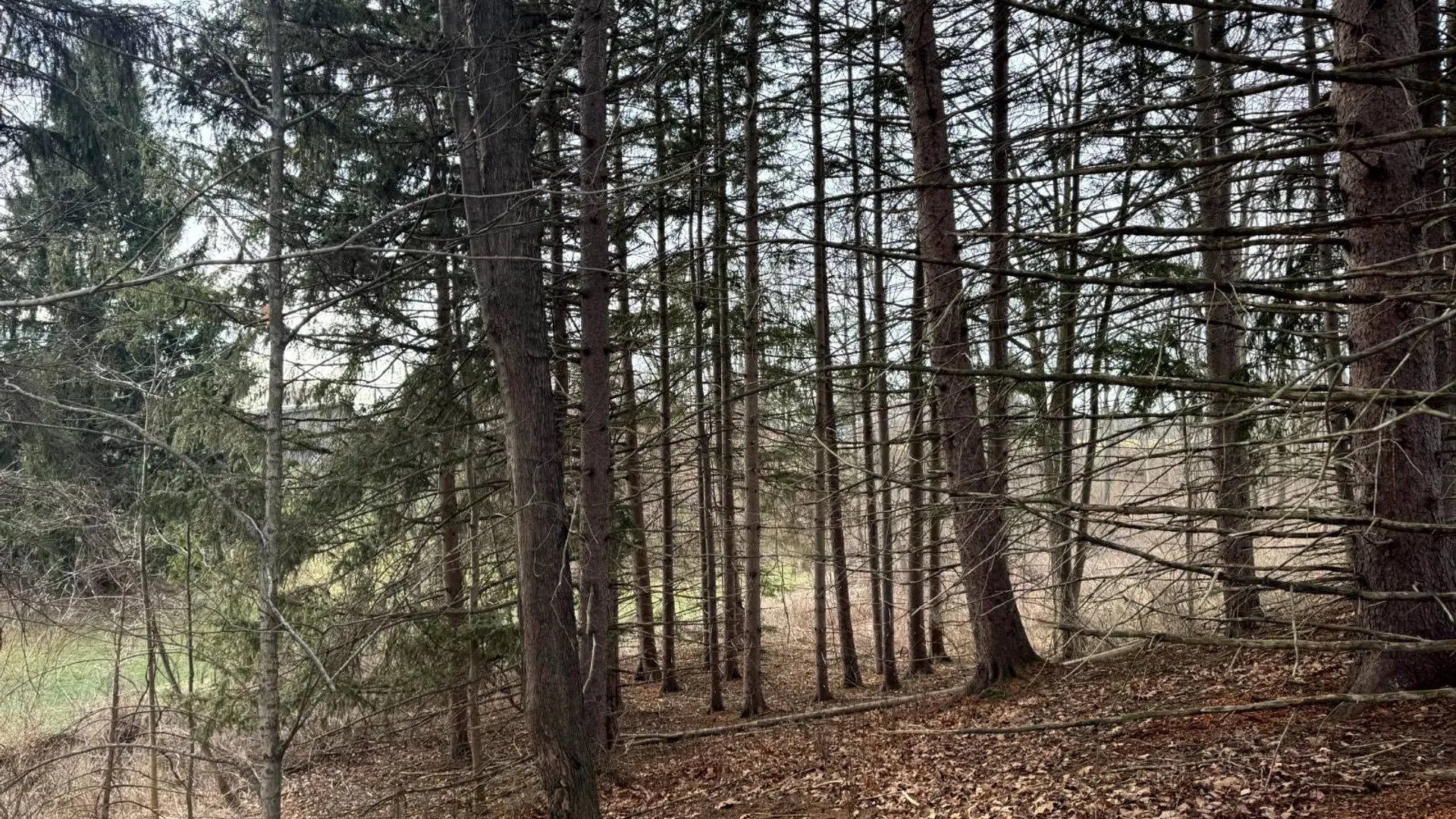 Property at 2C Creek Road, Nunda, NY 14517 6