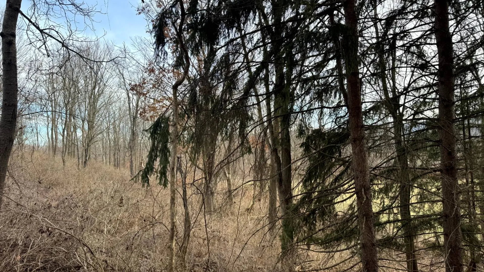 Property at 2C Creek Road, Nunda, NY 14517 7