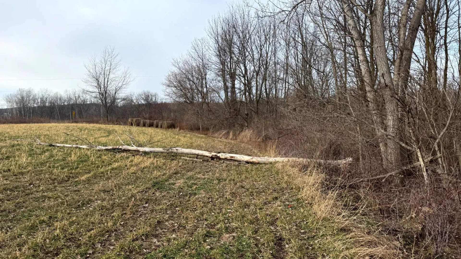 Property at 2D Creek Road, Nunda, NY 14517 2